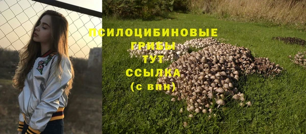 гашик Абдулино