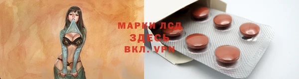 сатива Абинск