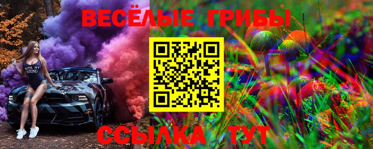 Псилоцибиновые грибы MAGIC MUSHROOMS Брянск